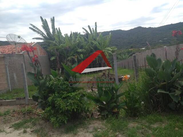 Terreno para Venda em Bombinhas - 5
